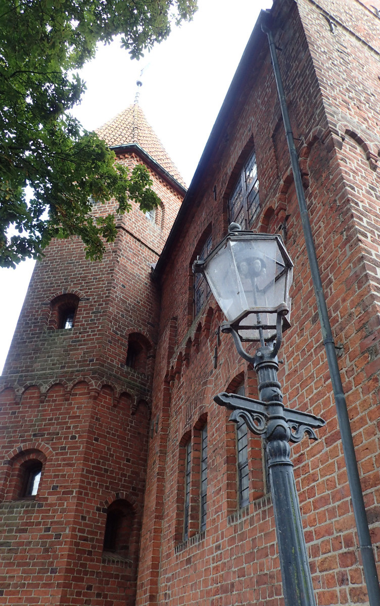Ribe