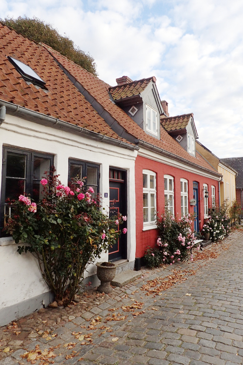 Ribe