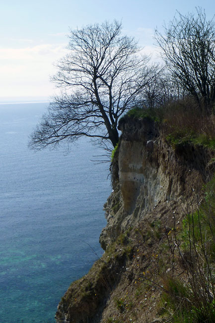 Stevns Klit Trampesti, april 2014