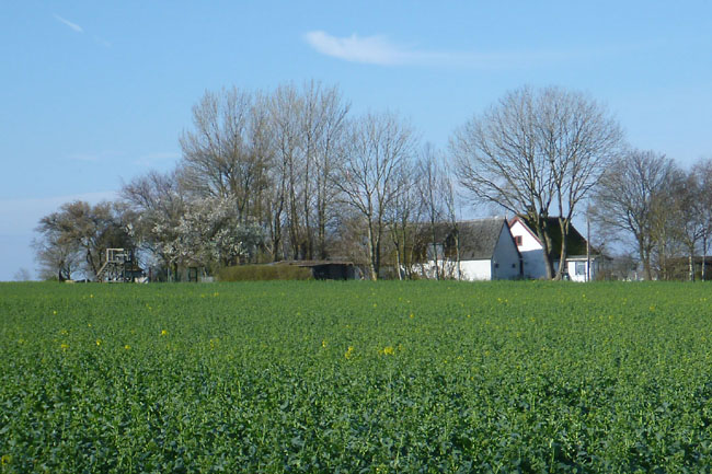 Stevns Klit Trampesti, april 2014