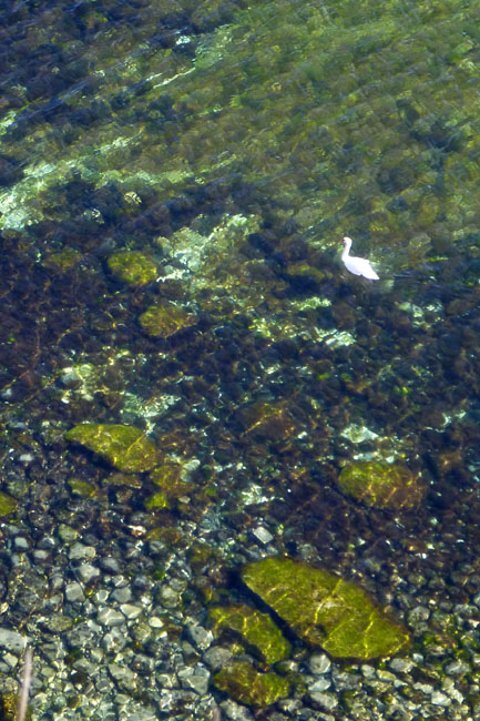 Stevns Klit Trampesti, april 2014