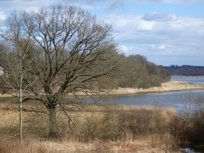 Ved Isefjorden