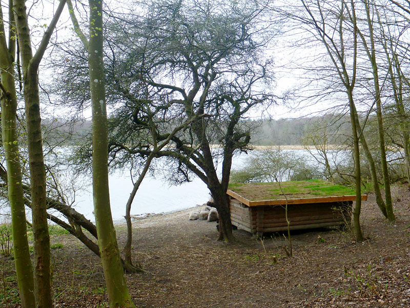 Boserup Skov