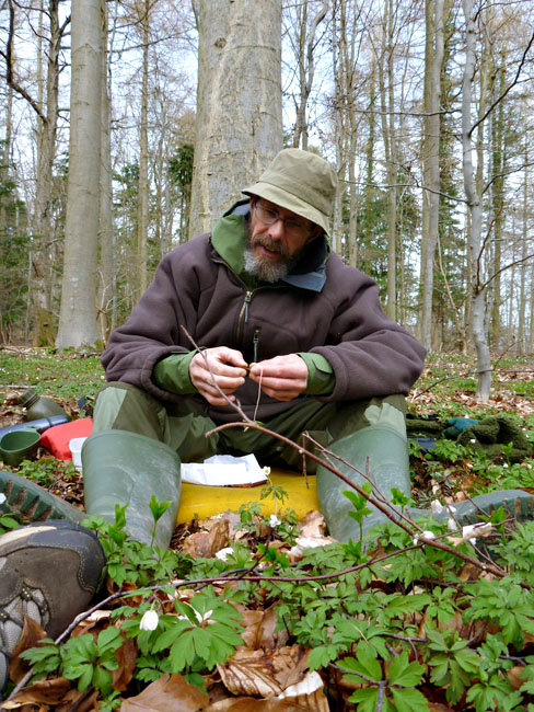 Boserup Skov