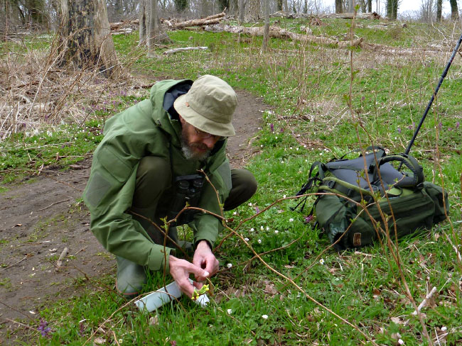 Boserup Skov