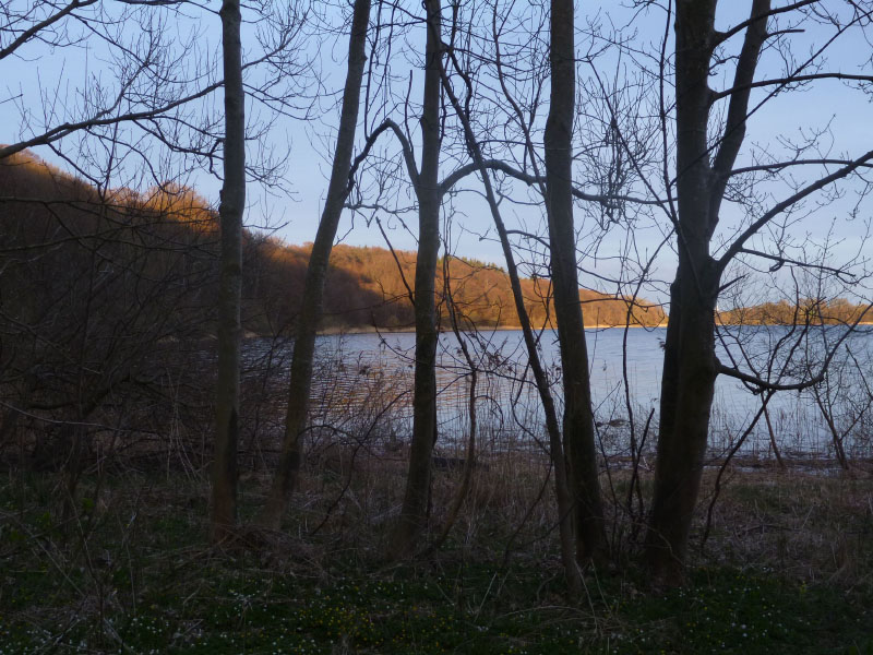 Vandring Hvalsø-Haraldsted