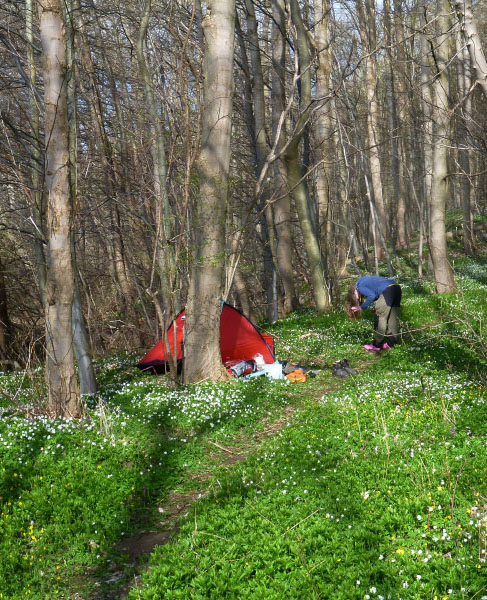 Vandring Hvalsø-Haraldsted