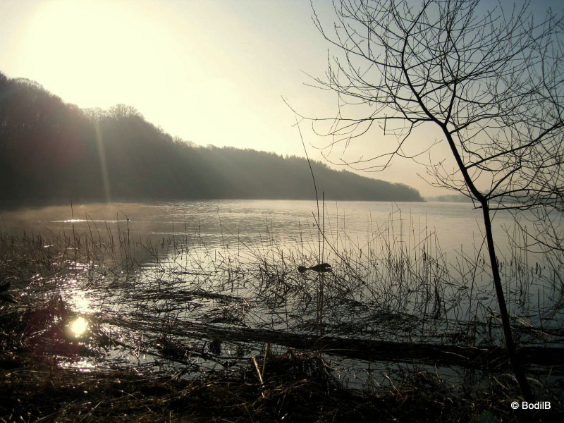 Vandring Hvalsø-Haraldsted