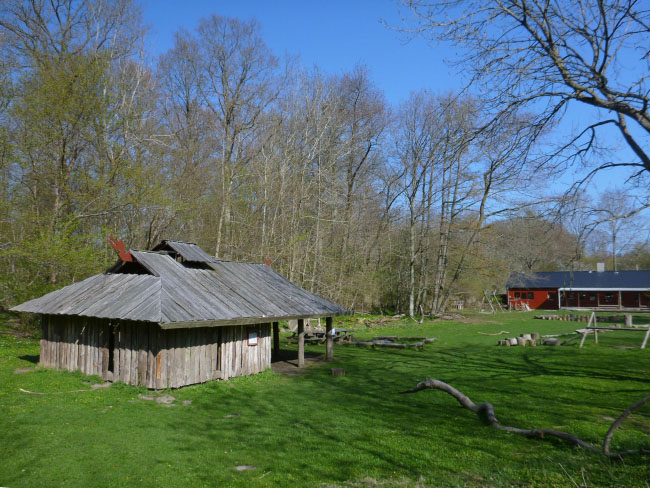 Vandring på Skjoldungestien