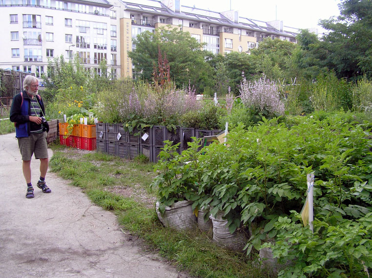 Das grüne Berlin