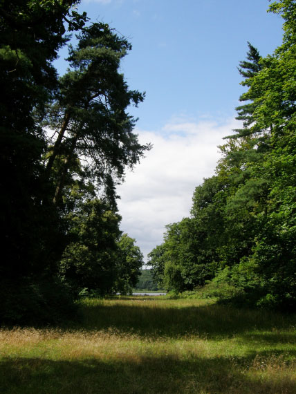 Das grüne Berlin