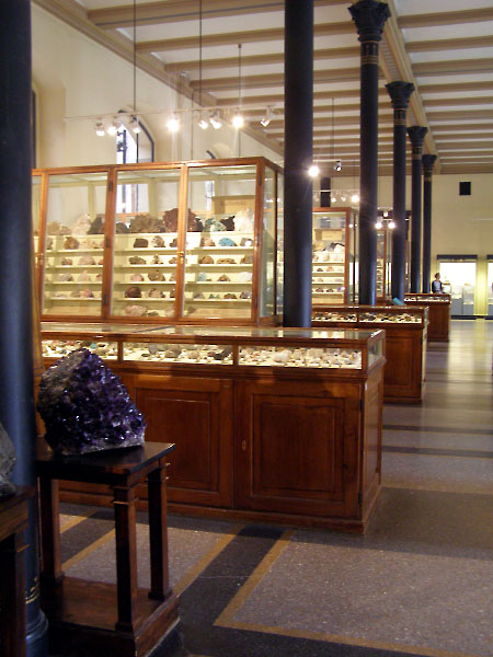 Museum für Naturkunde, Berlin