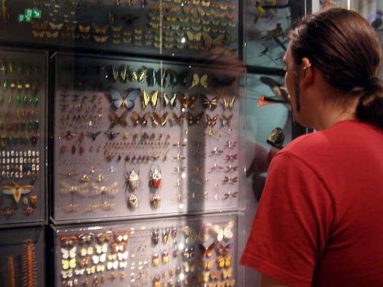 Museum für Naturkunde, Berlin