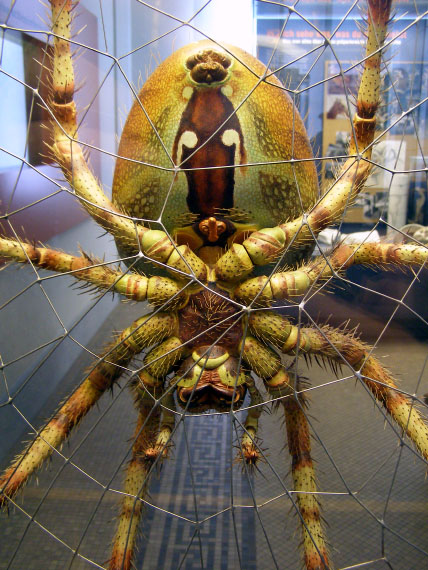 Museum für Naturkunde, Berlin