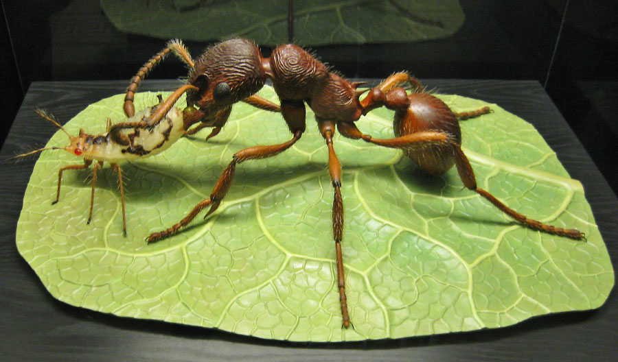 Museum für Naturkunde, Berlin