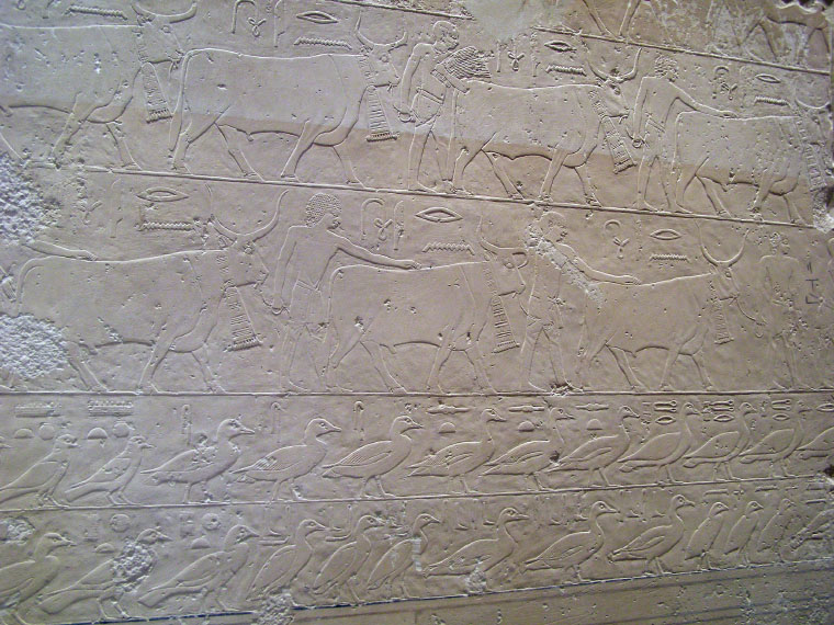 Neues Museum, Berlin