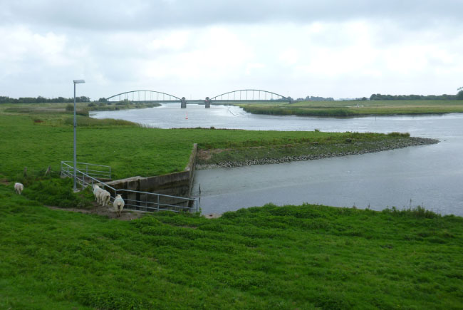 Slesvig