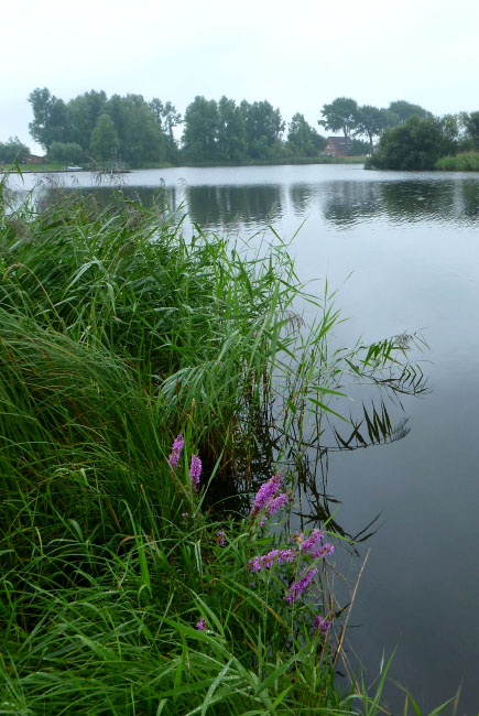 Slesvig