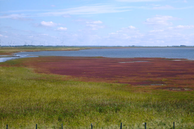 Slesvig