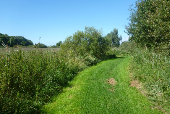Slesvig