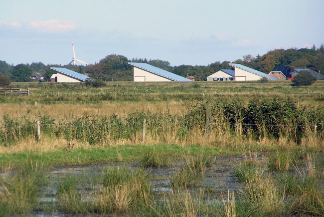Slesvig