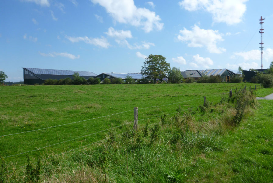 Slesvig
