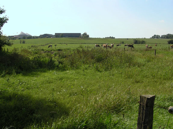 Slesvig