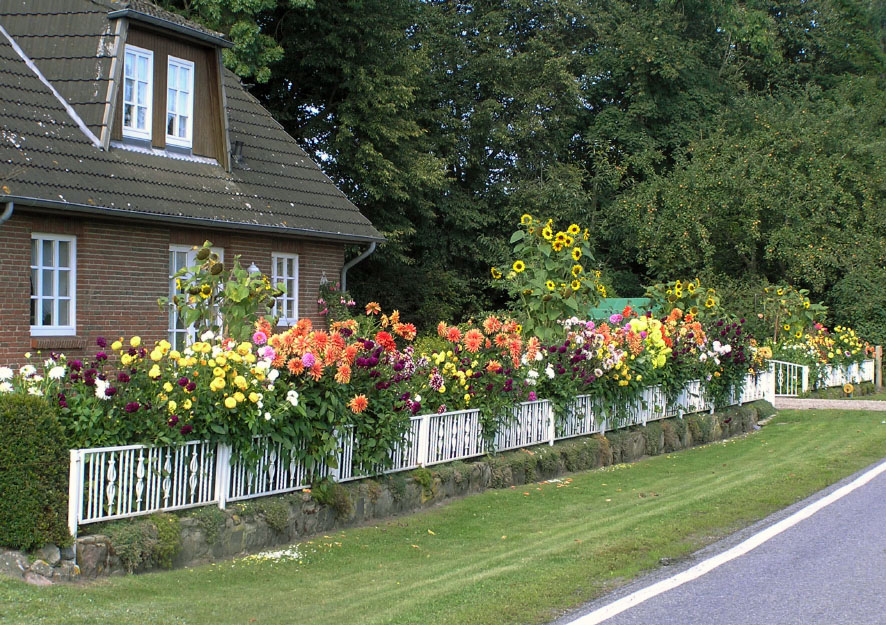 Slesvig