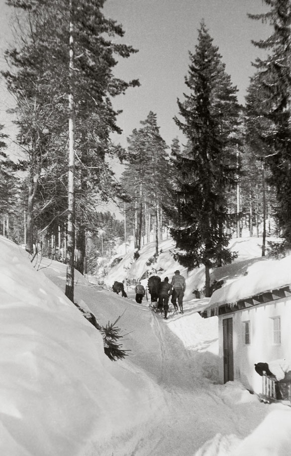 Galerie Linsen, Finn Johannessen