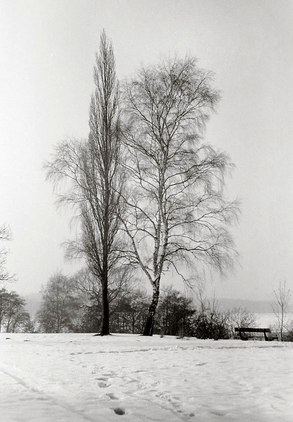 Galerie Linsen, Finn Johannessen