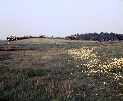 Sejlerminder 1968-69