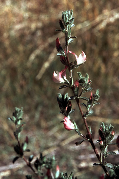 Sejlerminder 1968-69