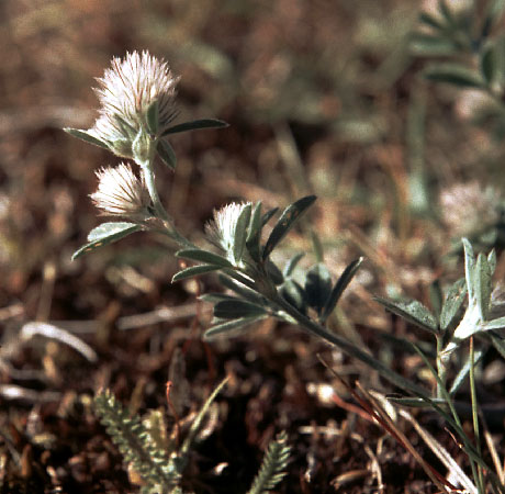 Sejlerminder 1968-69