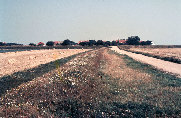 Sejlerminder