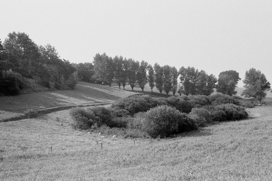 Sejlerminder 1971