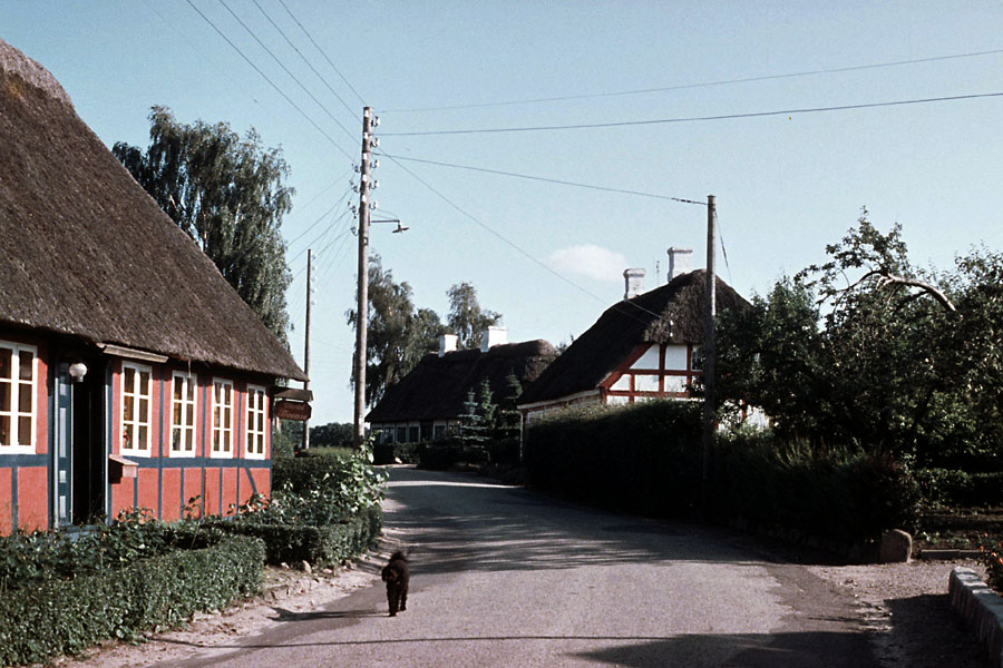 Sejlerminder 1971