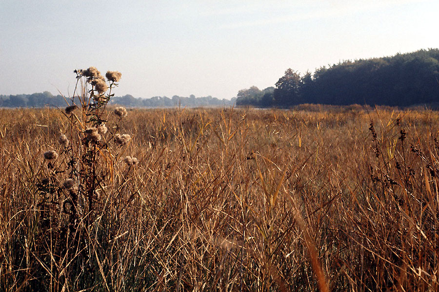 Sejlerminder 1972