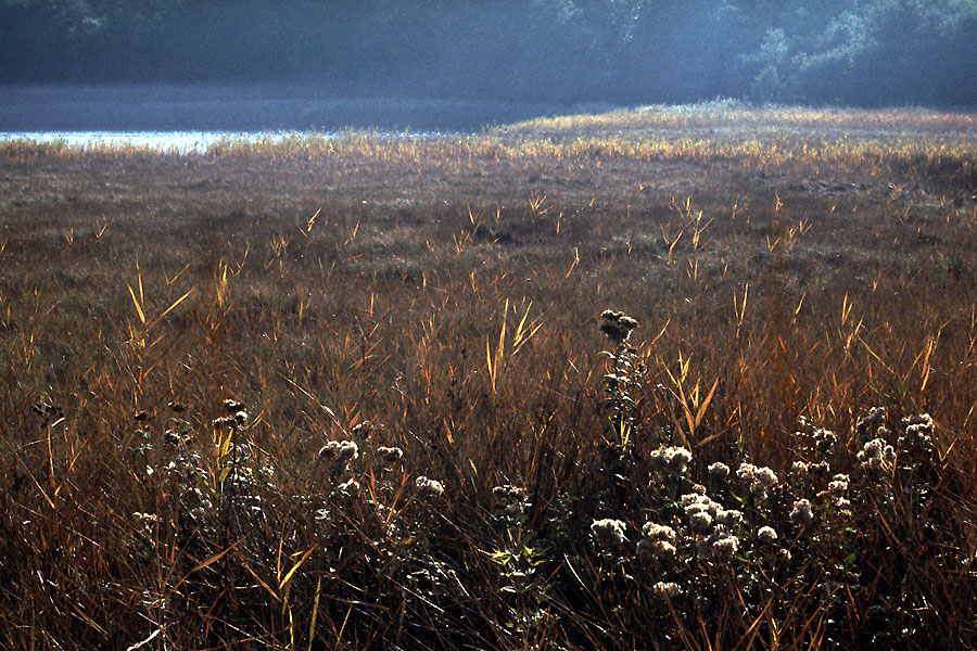 Sejlerminder 1972