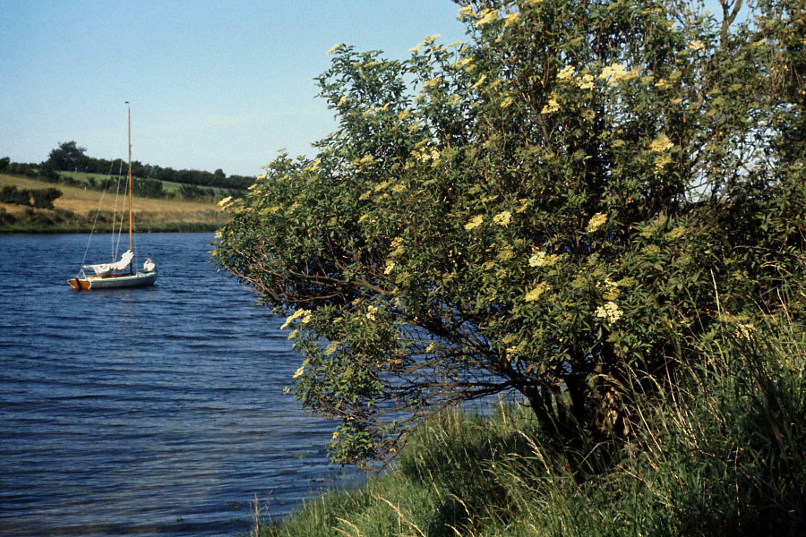 Sejlerminder 1973