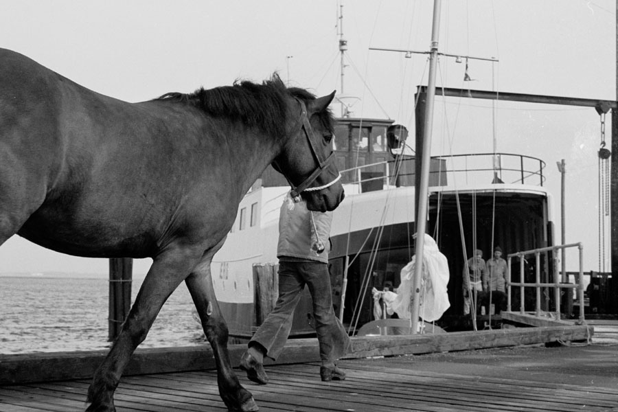 Sejlerminder 1974