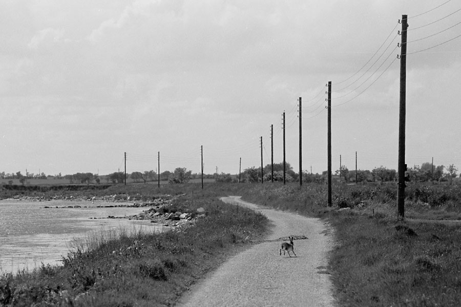 Sejlerminder 1974