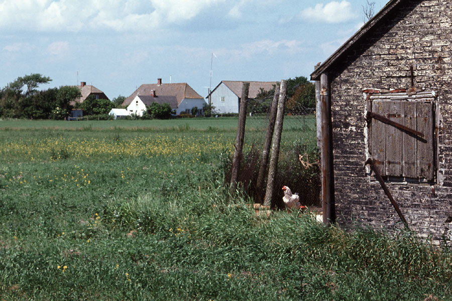 Sejlerminder 1975