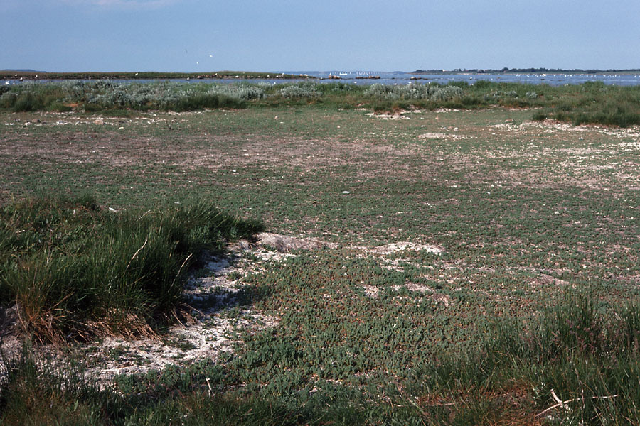 Sejlerminder 1975