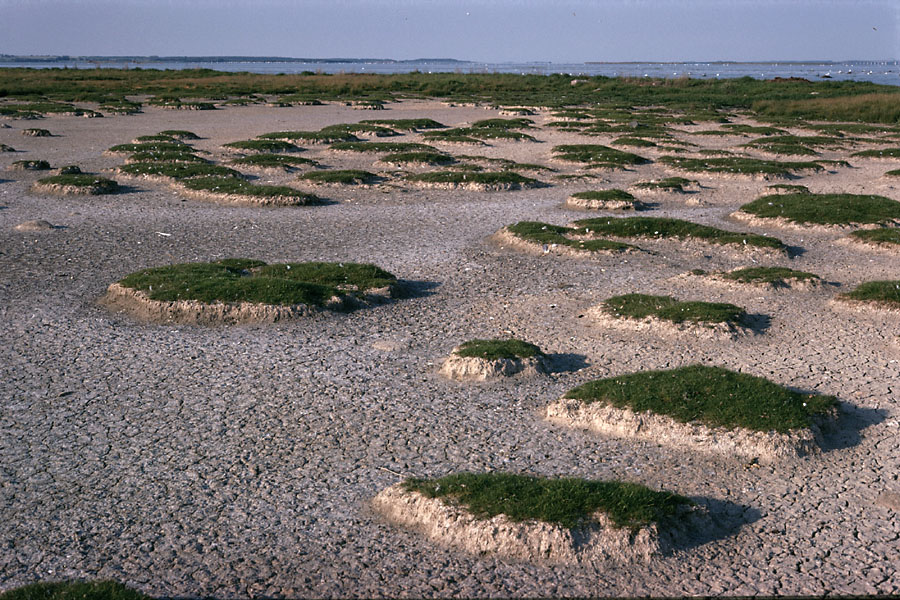 Sejlerminder 1975