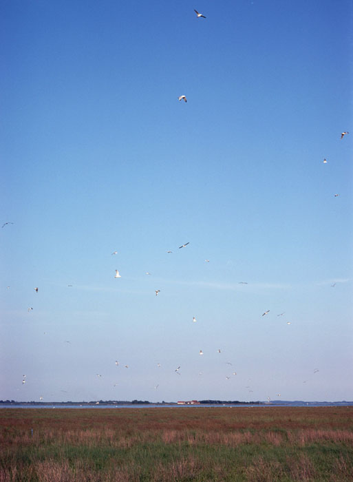 Sejlerminder 1975