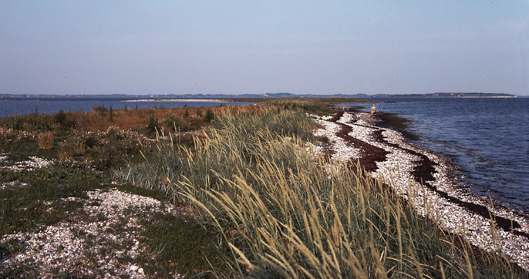 Sejlerminder 1975