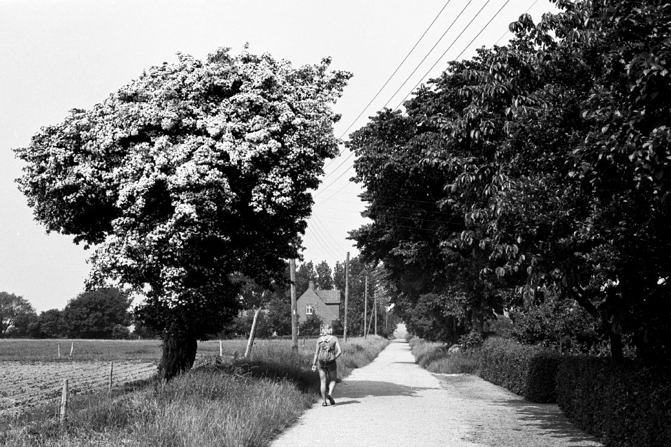 Sejlerminder 1977