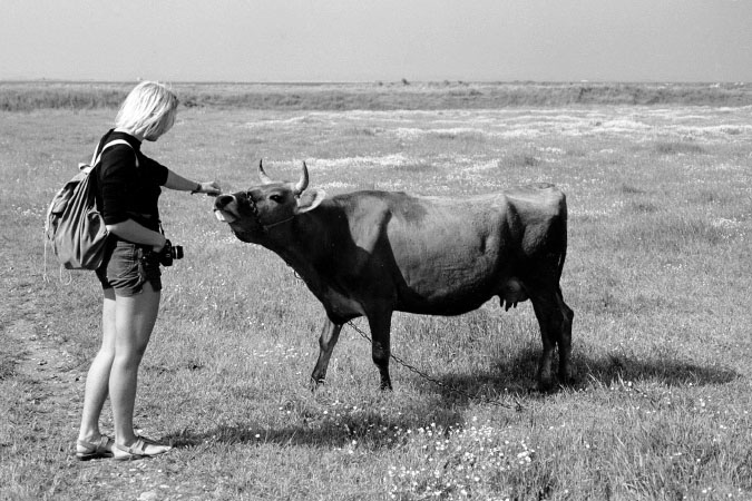 Sejlerminder 1977