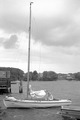 P61