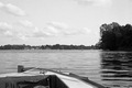 P63